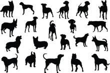Dog Silhouette Bundle, Dog Silhouette Vector Free Download, Many Dog Breeds In Silhouettes