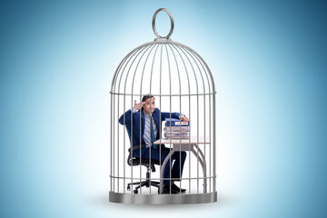 Wall Mural - Businessman caught in the cage