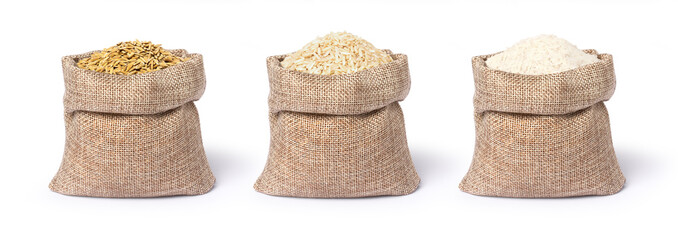 Canvas Print - Brown rice, paddy rice and white rice in sack bag on white background.