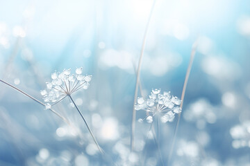 Wall Mural - Closeup of snow flake in winter season