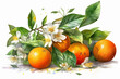 Ripe tangerines with leaves and flowers on a white background generative ai