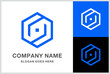 Geometric Hexagon Cube Business Company Stock Vector Logo Design Template