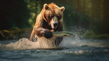 Bear Catching A Salmon