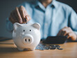 © ALamphad - Piggy Bank and Hand with Money - Professional Finance Concept