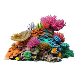 coral reef isolated PNG on transparent background cutout