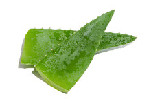 Two Leaves Of Green Fresh Aloe Vera. On A Blank Background. PNG