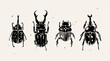 Set of various beetles, bugs or insects. Hand drawn modern Vector illustration. Vintage, Engraving style. Isolated design elements. Print, logo, poster templates, tattoo idea