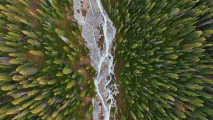 Wall Mural - a drone view of the river in the woods. an aerial view of an autumn forest. winding river among the 