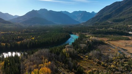 Wall Mural - drone view of a forest, rivers and mountains in the rocky mountains. landscape from the air. video f