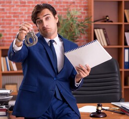 Wall Mural - Young handsome lawyer working in his office