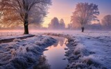 Fototapeta Natura - Morning winter landscape 
