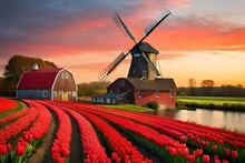 Dutch Windmill In The Country