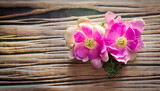 Fototapeta Storczyk - pink orchid on wooden background