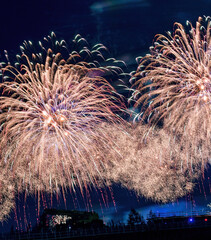 Wall Mural - Firework in summertime in Taiwan.