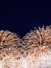 Wall Mural - Firework in summertime in Taiwan.