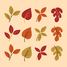Autumn Leaves Collection . Yellow And Red Fall Leaf. Isolated Vector Set
