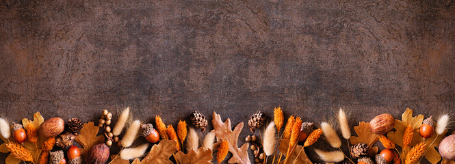 Wall Mural - Colorful autumn leaves, nuts and grasses. Bottom border over a rustic dark banner background. Top view with copy space.