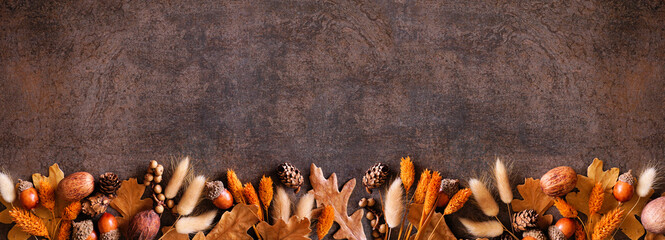 Poster - Colorful autumn leaves, nuts and grasses. Bottom border over a rustic dark banner background. Top view with copy space.