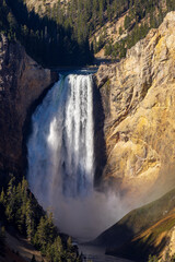 Canvas Print - Scenic Yellowstone Falls Landscape in Yellowstone National Park Wyoming