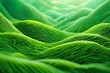 Abstract organic green lines as wallpaper background illustration. Macro landscape wallpaper. Digital AI
