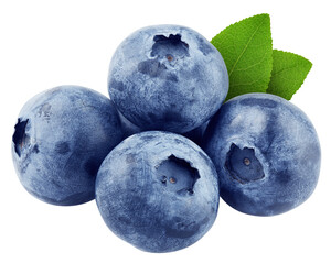 Wall Mural - Blueberry isolated on white background, full depth of field