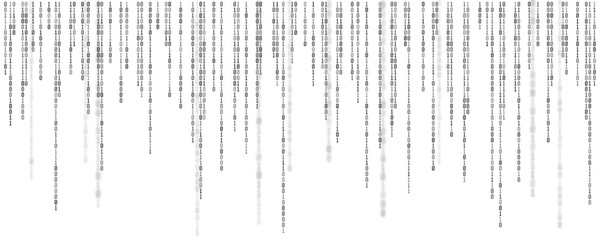 Wall Mural - Binary computer code. Cyber background constructed with numbers one and zero. Abstract visualization of programming. Vector illustration.