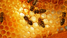Closeup Of Honey Bees On Wax Honeycomb With Hexagonal Cells For Apiary And Beekeeping Concept Background
