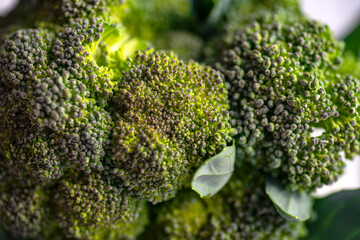 Wall Mural - Broccoli close-up. Broccoli macro photo.