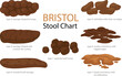 Bristol stool form scale with faeces type images. Set of different types human feces, excrement in normal and diseases of diarrhea and constipation