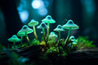 Leuchtende Pilze