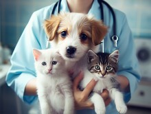 Vet Examining Dog And Cat. Puppy And Kitten At Veterinarian Doctor. Animal Clinic. Pet Check Up And Vaccination. Health Care. : Generative AI