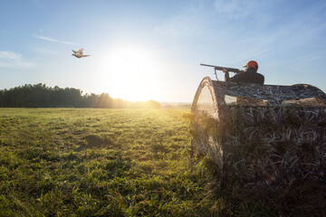 Wall Mural - Hunter man  hunting a pheasant at autumn season. Hunter in hunting blind aiming at bird at sunrise.