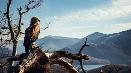 Wall Mural - An eagle perched on a tree branch at the edge of a mountain