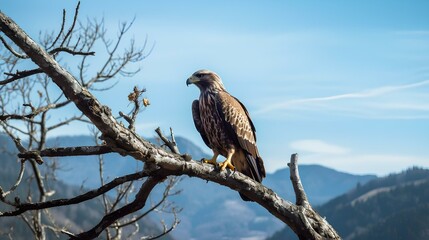 Wall Mural - An eagle perched on a tree branch at the edge of a mountain
