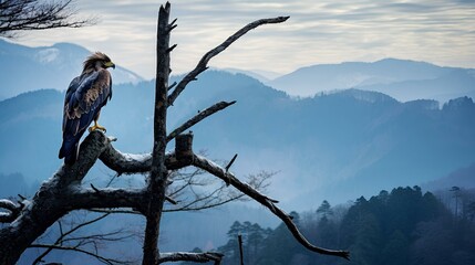 Wall Mural - An eagle perched on a tree branch at the edge of a mountain