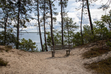 Canvas Print - wooden relax bench seat on lake coast atlantic ocean in Carcans atlantic southwest in gironde france view