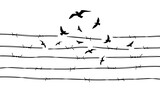 Birds flying through barbed wire concept illustration transparent background. Concept of freedom. 