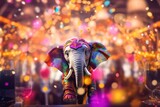 Fototapeta Sport - Party elephant background