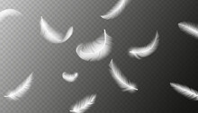 Realistic Feathers. White Bird Falling Feather Isolated. Realistic 3d Vector Illustration Of Falling Dove Feathers Texture Or Elegant Soft Plume Backdrop