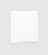 Torn paper edges. Ripped paper texture. Paper tag. White paper sheet for background with clipping path. Vector illustration.