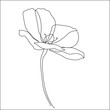 Poppy flower line art. Minimalist contour drawing. One line artwork