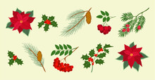 Set Of Christmas Plants, Pine Branches With Cones, Yew, Holly Berry, Red Rowan, Poinsettia, Hand Drawn Vector Illustration Isolated On Light Background. Flat Cartoon Style.