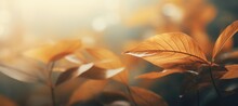 Close Up Of Autumn Leaves With Motion Blur,