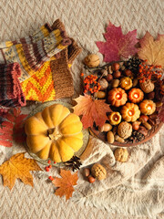 Poster - autumn background. Decorative pumpkin shape candles, acorns, nuts, fall leaves in plate, knitted socks on plaid backdrop. Fall season. symbol of harvest, Mabon, thanksgiving, Halloween. top view