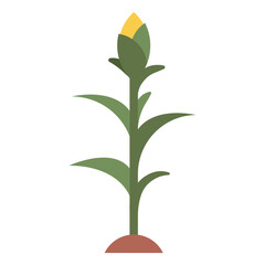 Poster - corn plant illustration