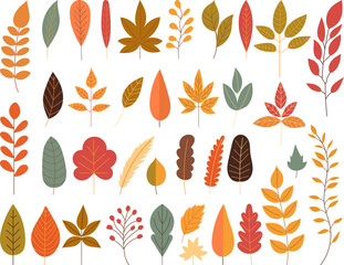 Wall Mural - collection of autumn tree leaves on white background vector