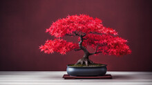 Japanese Red Bonsai Tree