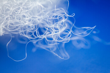 Wall Mural - Extreme macro of polyester stable fiber on blue background