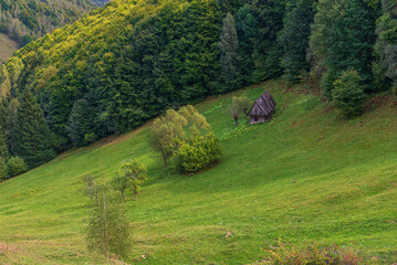 Wall Mural - Rural idyllic landscape of the small villages in the Rucar-Bran mountain area, Brasov, Romania, scattered on the wooded hills, with the Bucegi mountains in the background, in wonderful springtime day