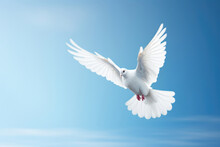 Flying White Dove On The Blue Sky